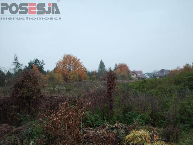 Bezrzecze działka dla inwestora (7)
