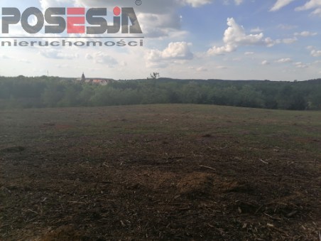 Działka rekreacyjna nad jeziorem k/ Choszczna (3)