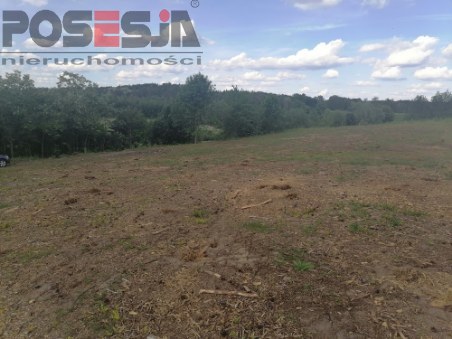 Działka budowlana nad jeziorem k/ Choszczna (7)