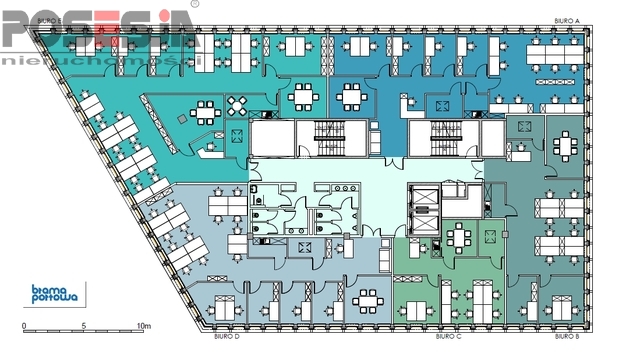 Lokal, 860 m2, 0 piętro, Szczecin Centrum (7)