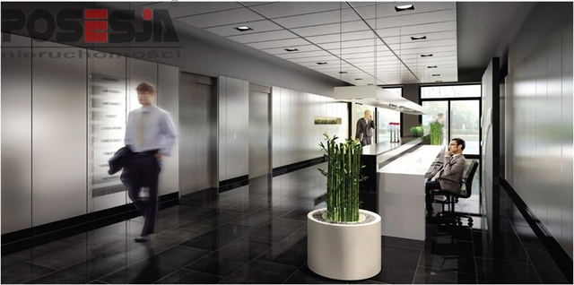 Lokal, 860 m2, 0 piętro, Szczecin Centrum (9)