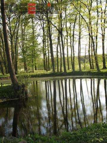 dworek w zachodniopomorskim (11)