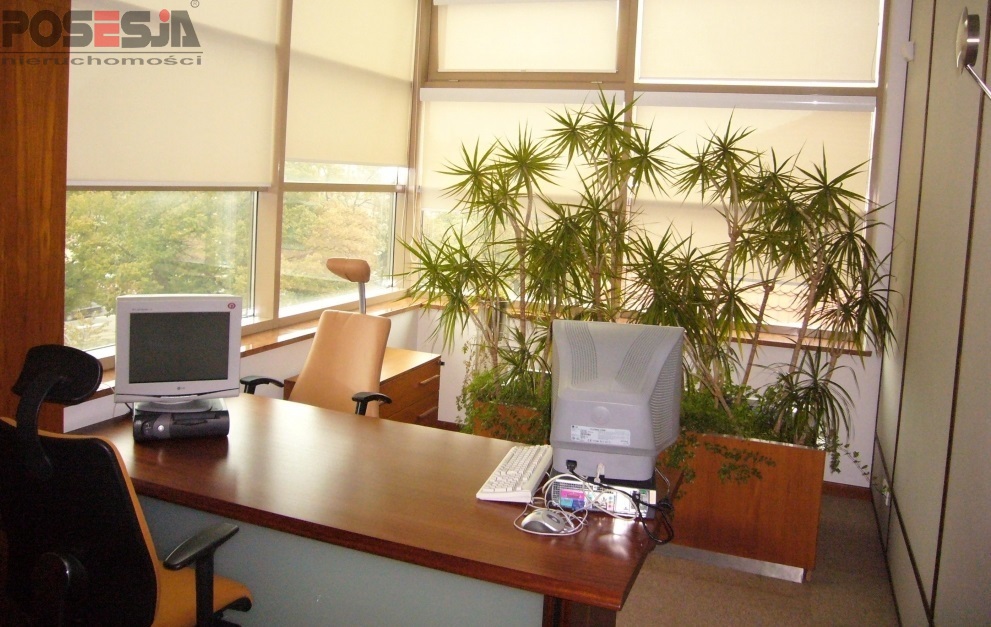 powierzchnia w najlepszej lokalizacji Szczecina (2)