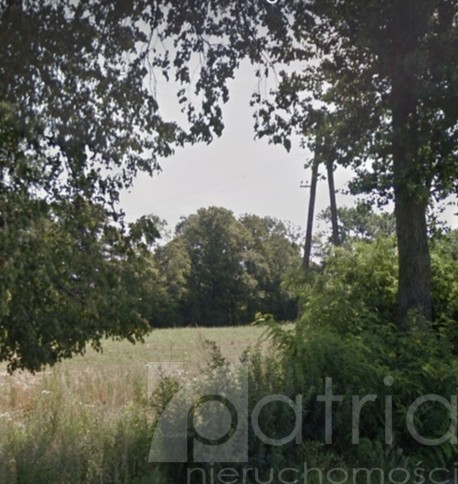 Działka w Lutoborzu niedaleko lasów i jezior (1)