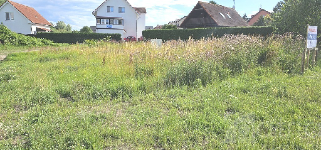 Działka w centrum  Niechorza z MPZP. Wyłączność! (4)