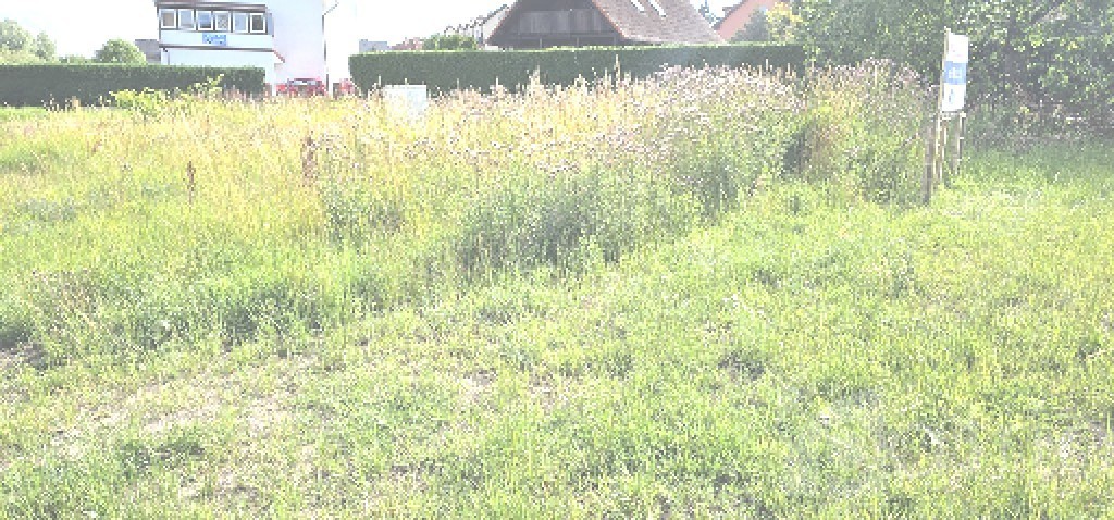 Działka w centrum  Niechorza z MPZP. Wyłączność! (8)