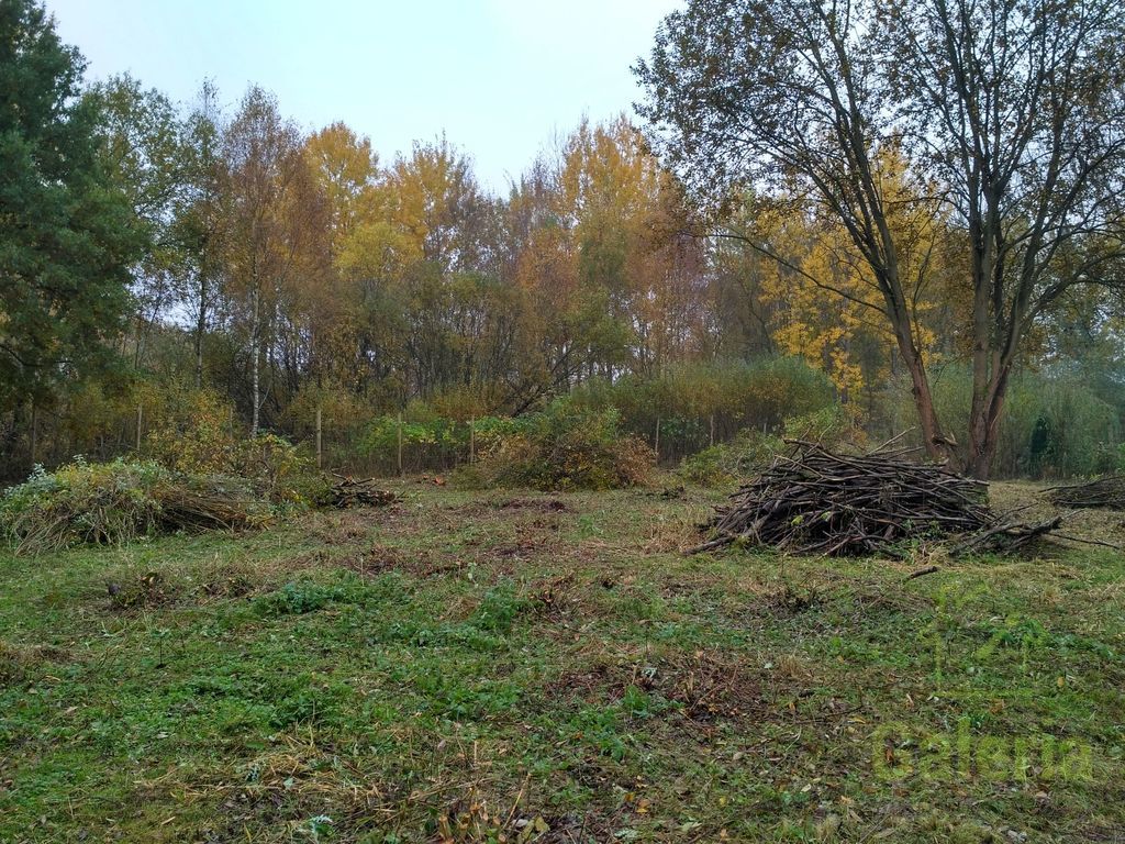 Działka budowlana 15 km od Dziwnówka (4)