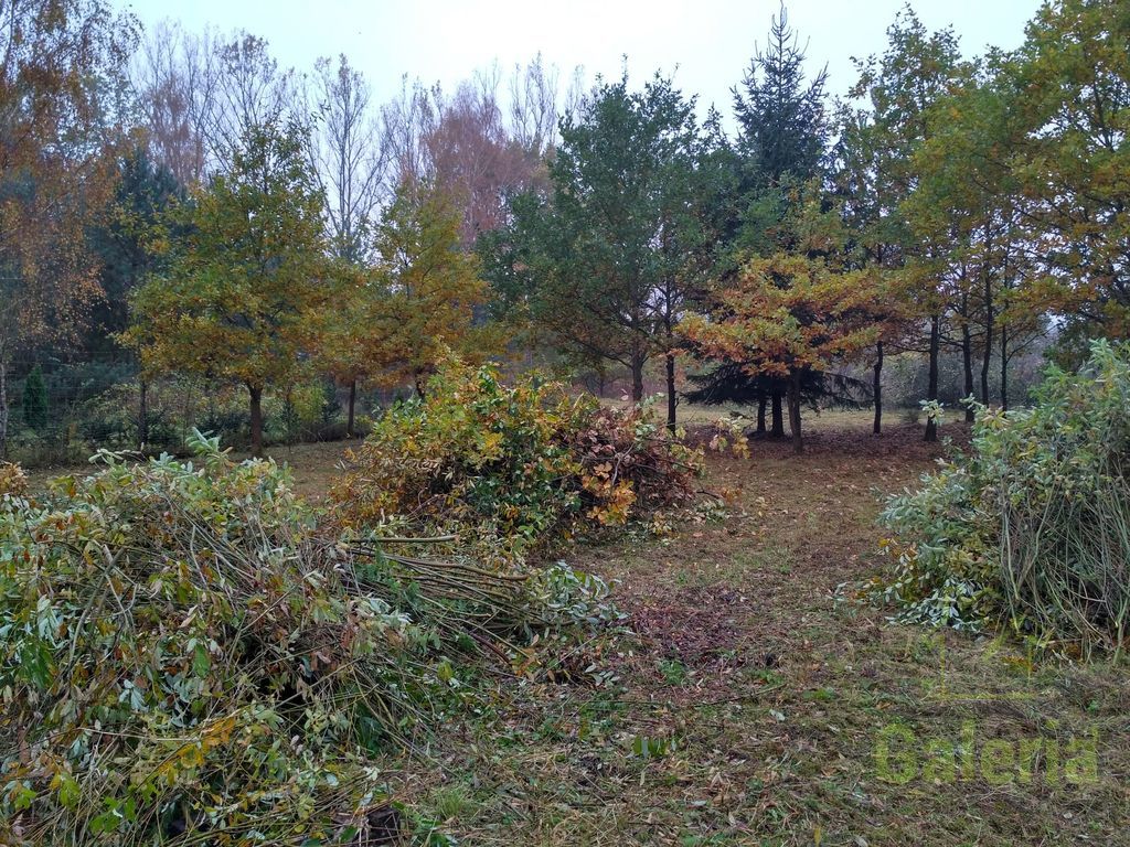 Działka budowlana 15 km od Dziwnówka (5)