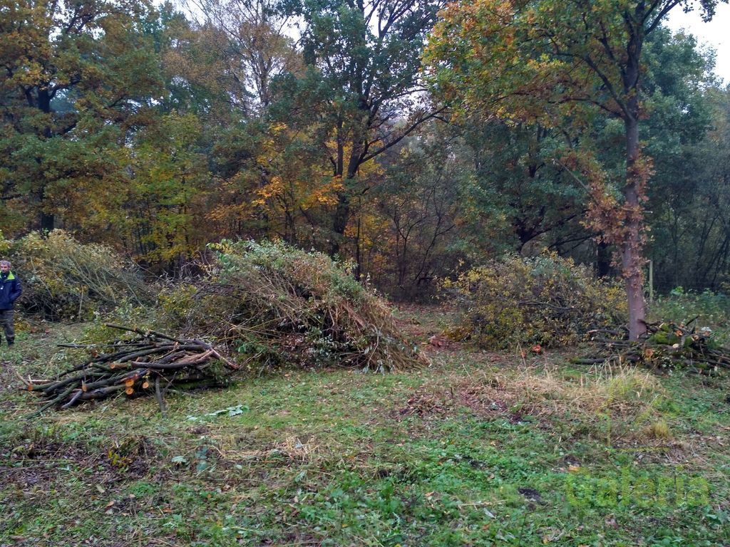 Działka budowlana 15 km od Dziwnówka (6)