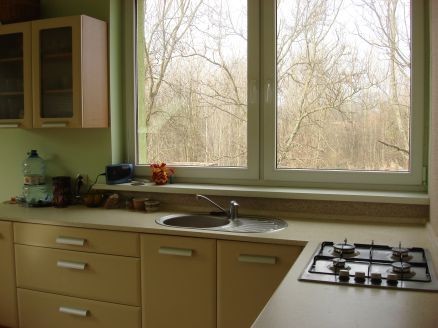 Obiekt, 357 m2, Rurzyca  (8)