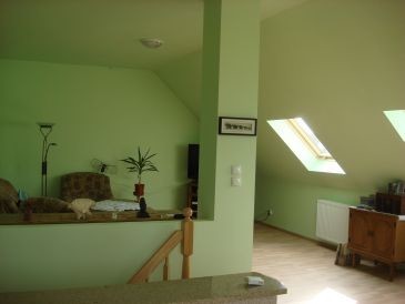 Obiekt, 357 m2, Rurzyca  (10)