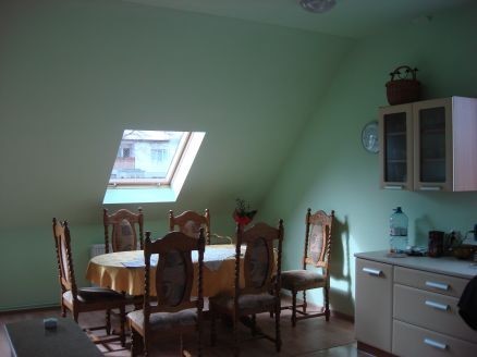 Obiekt, 357 m2, Rurzyca  (11)