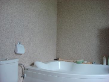 Obiekt, 357 m2, Rurzyca  (15)