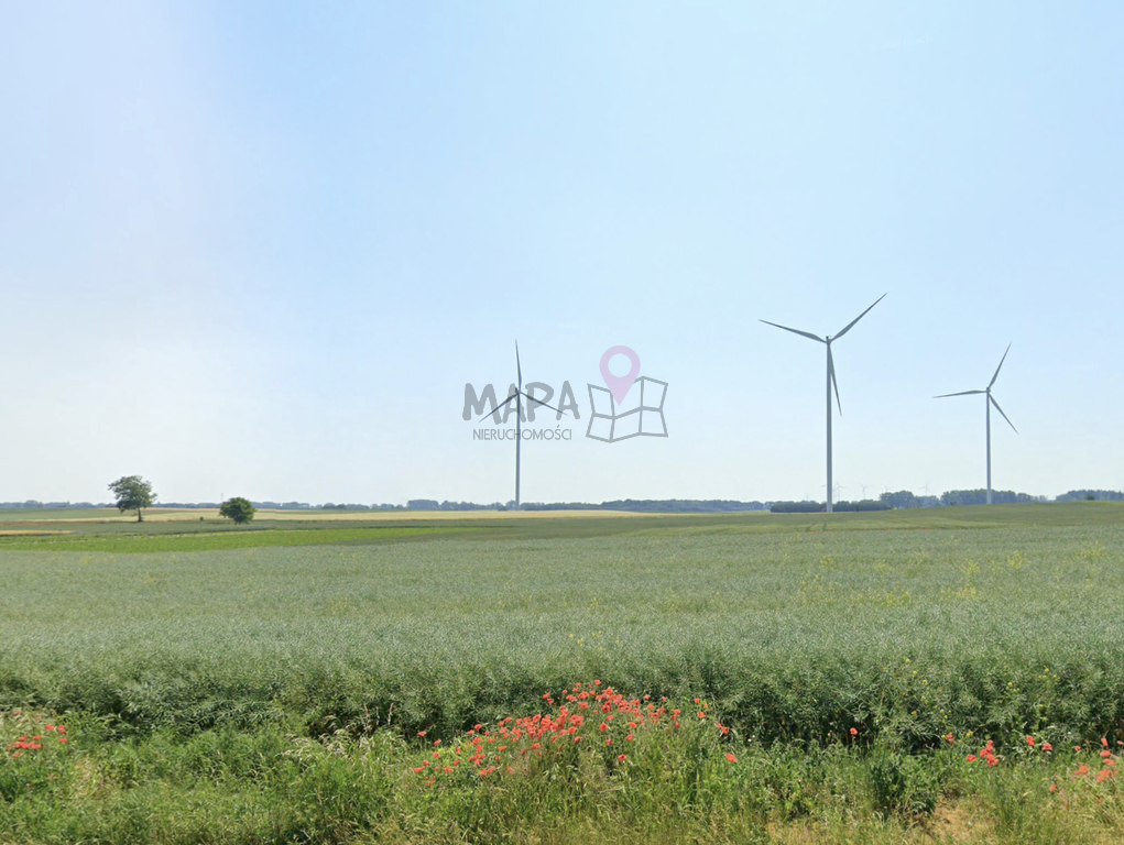 Działka na sprzedaż w Liniach - 4600m2 (4)