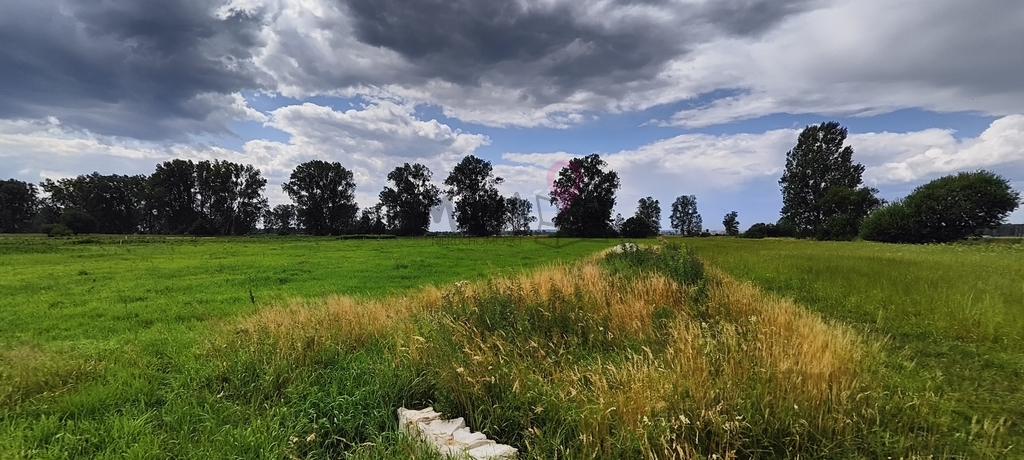 Rurzyca - 3 działki z warunkami (1)