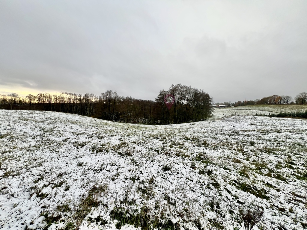 Duża działka w Kołowie! (4)