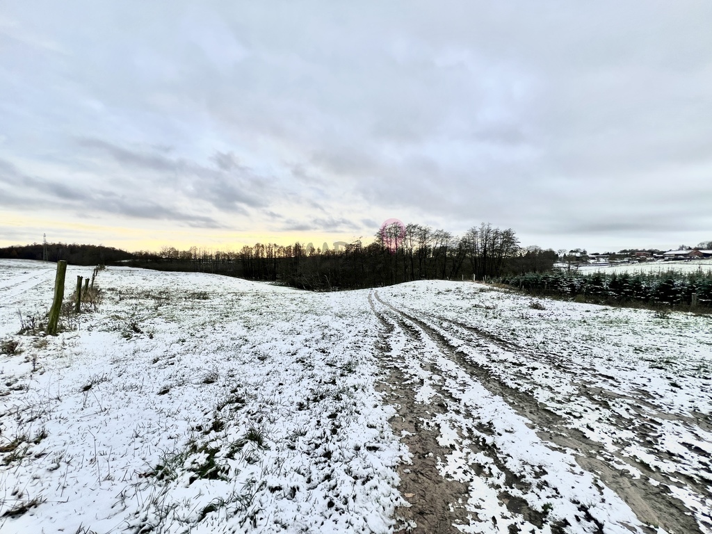 Duża działka w Kołowie! (5)