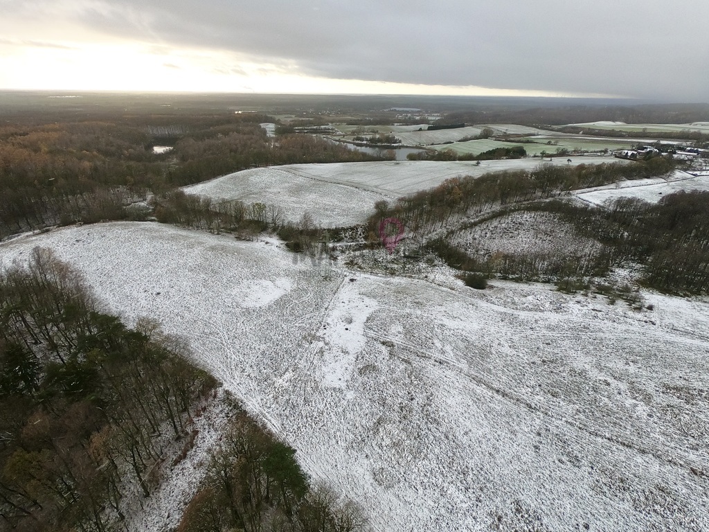 Duża działka w Kołowie! (7)