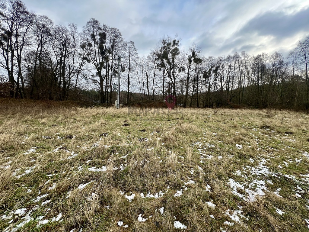 Budowlana działka w Brzózkach - 3211m2  bez PCC 2% (8)