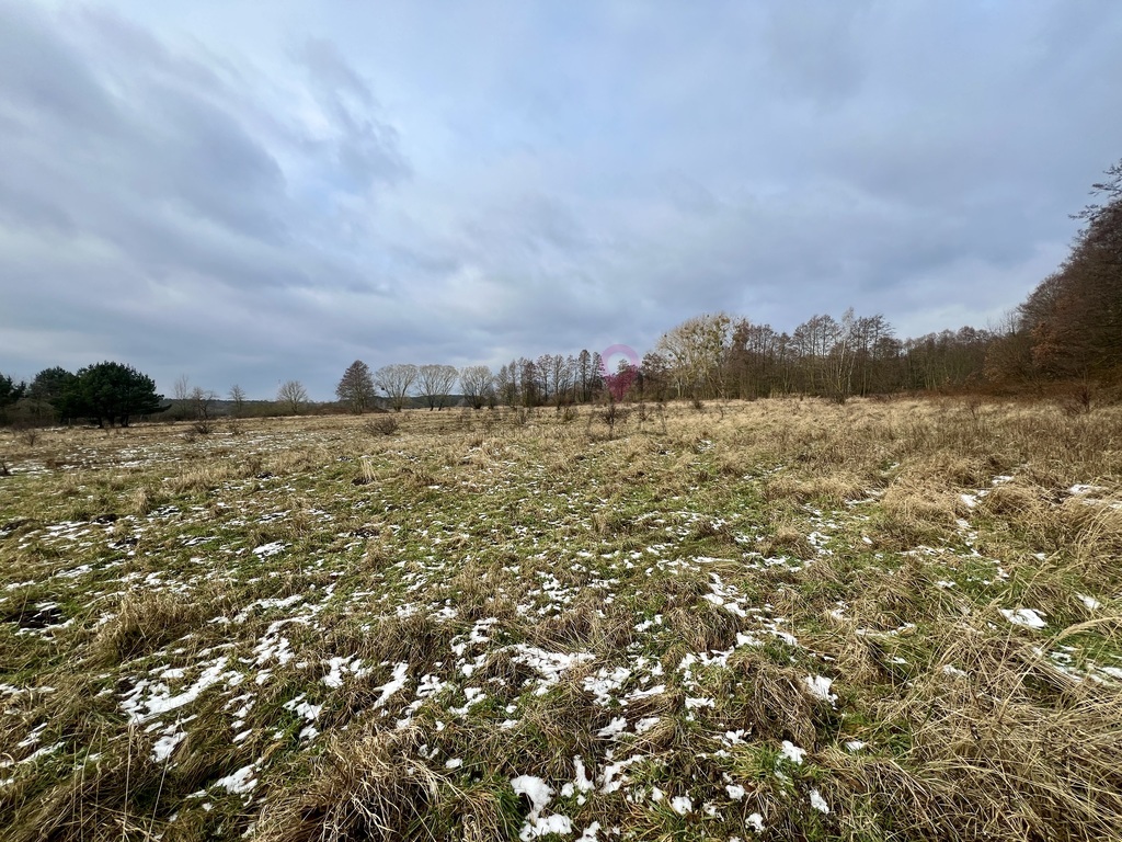 Budowlana działka w Brzózkach - 3181m2  bez PCC 2% (5)