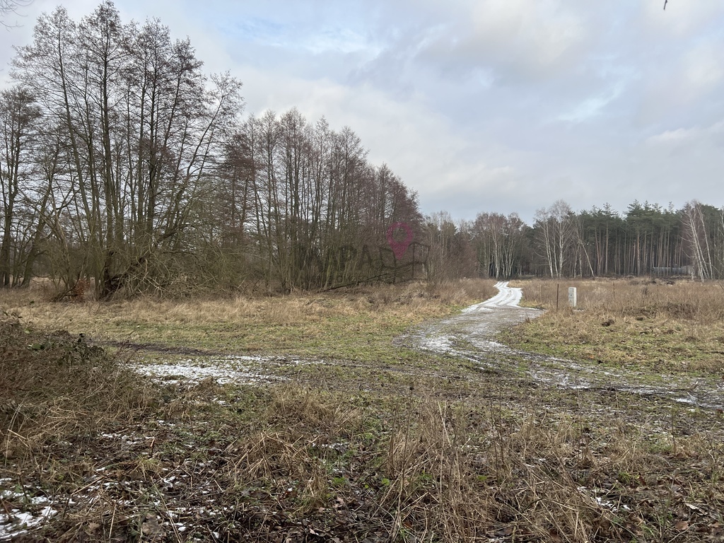 Kompleks 11 działek w Brzózkach - z WZ! (8)