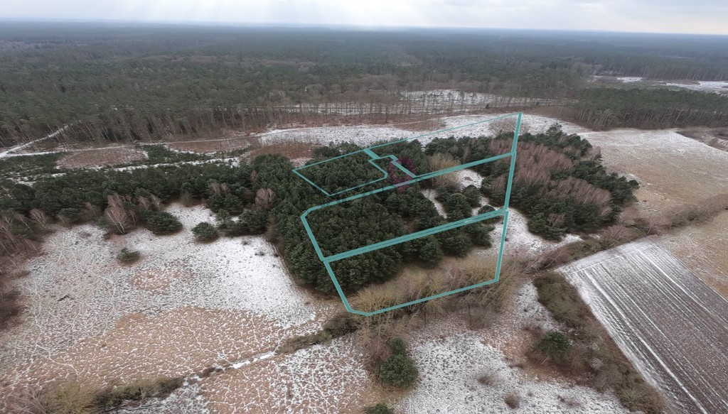 Kompleks 11 działek w Brzózkach - z WZ! (14)