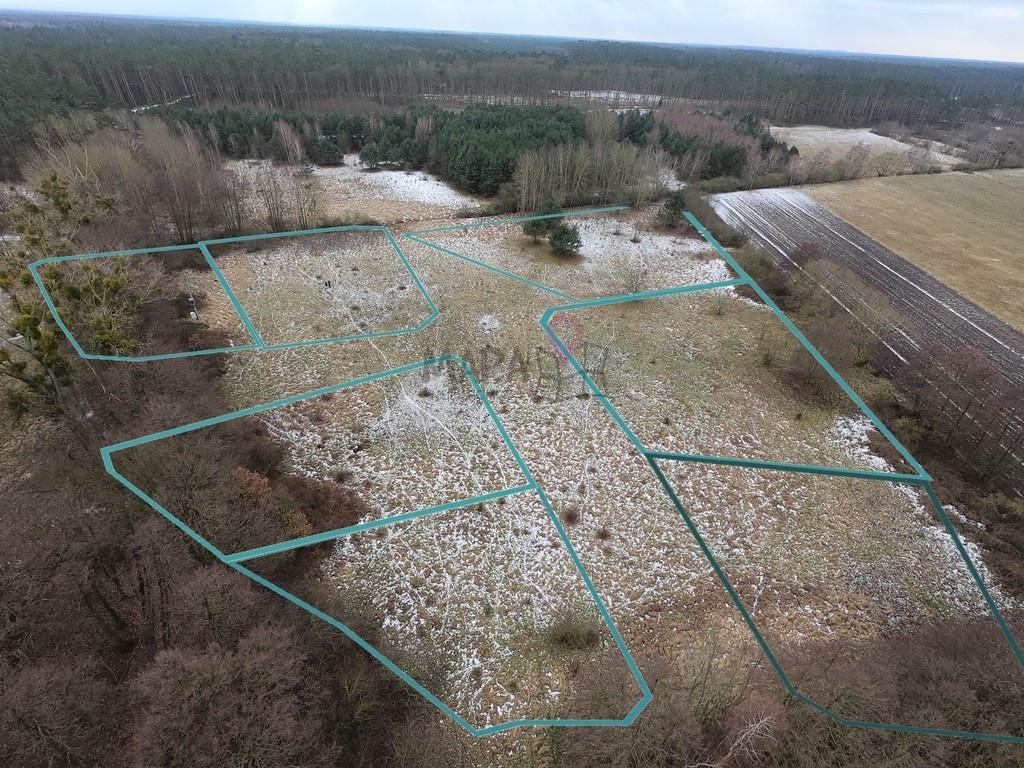 Kompleks 11 działek w Brzózkach - z WZ! (15)