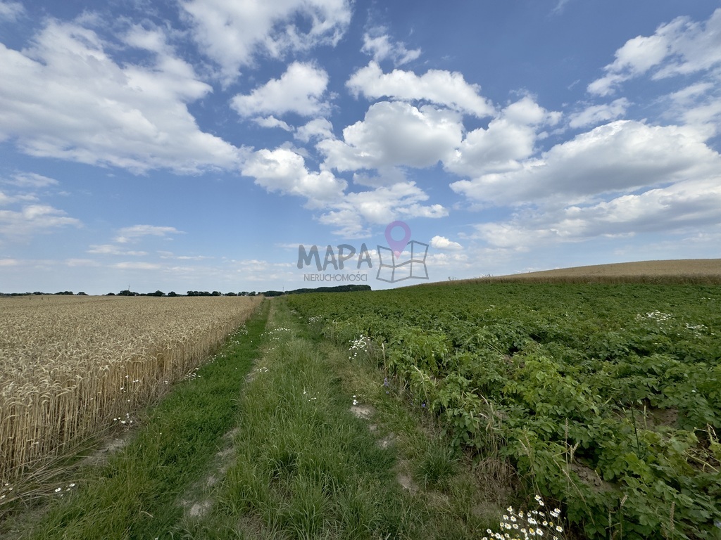 Urokliwa działka do zabudowy w Bielicach! (4)