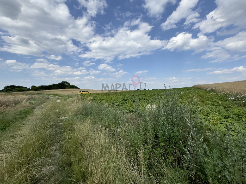 Urokliwa działka do zabudowy w Bielicach! (5)
