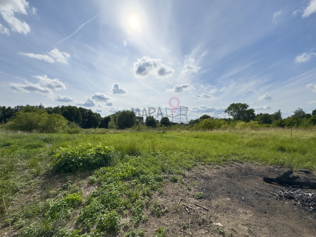 Duża działka z MPZP - Stare Chrapowo! (5)