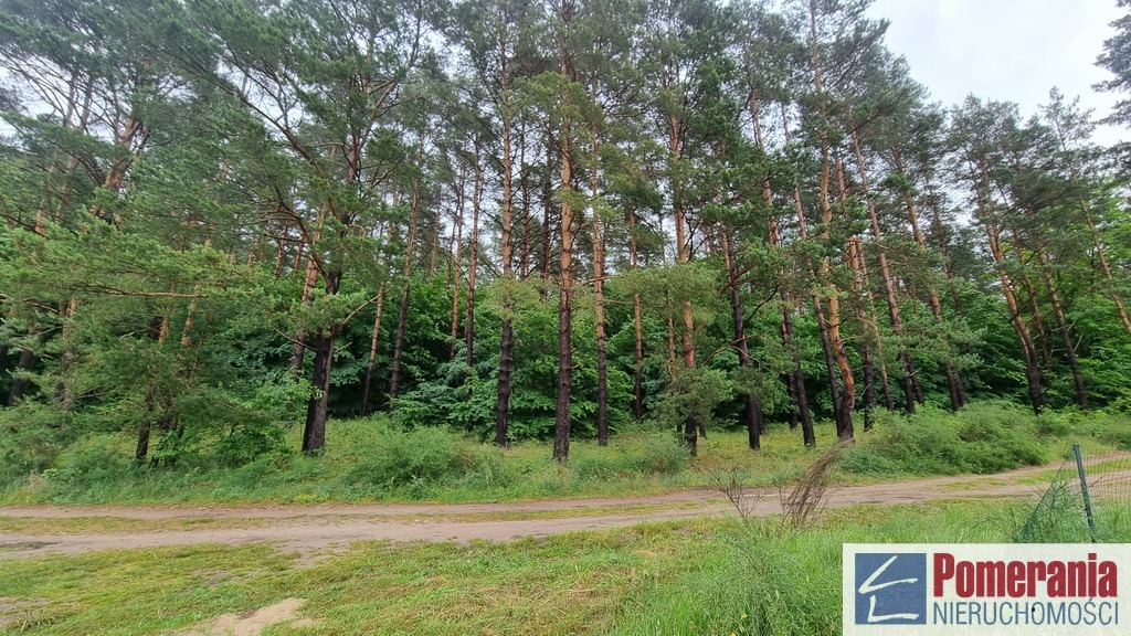 Wisełka, działka z planem MPZP, 1300m2, piękny wid (8)