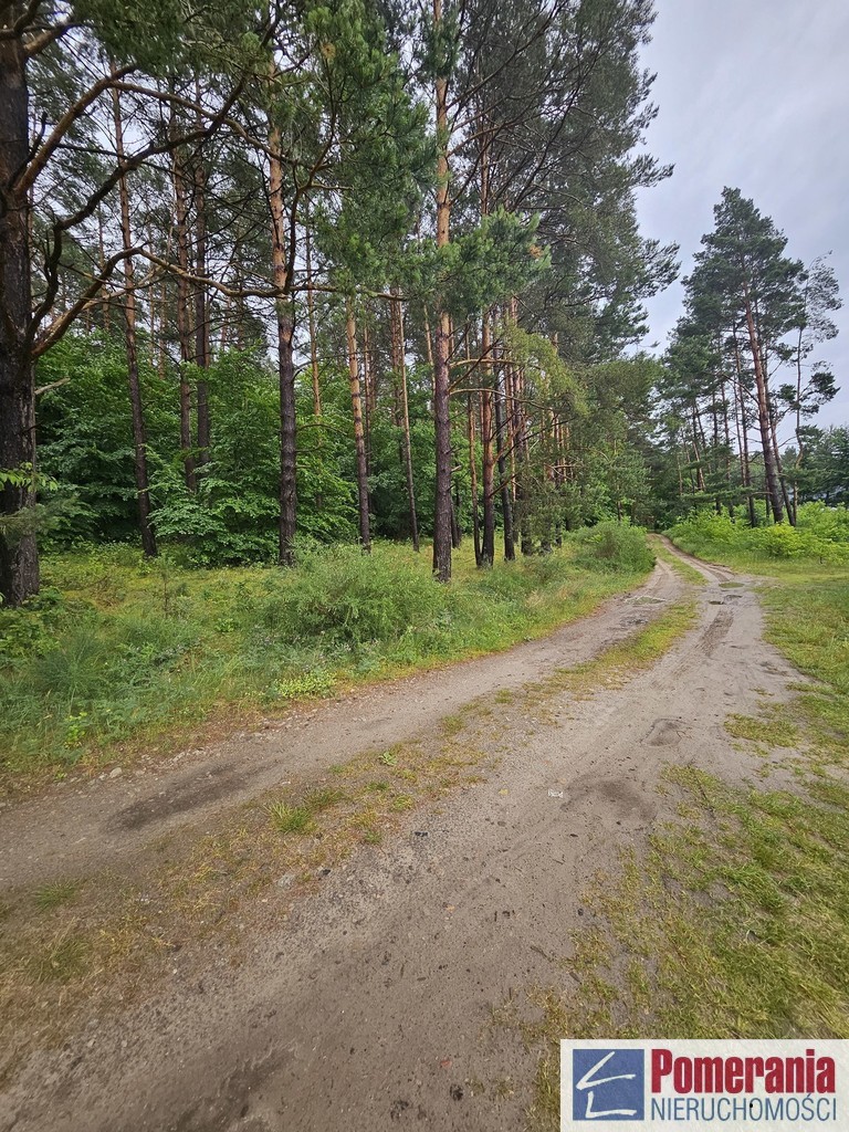 Wisełka, działka z planem MPZP, 1300m2, piękny wid (4)