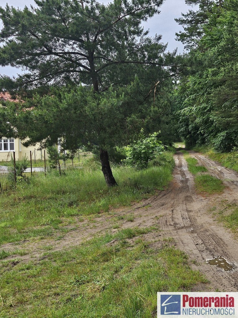 Wisełka, działka z planem MPZP, 1300m2, piękny wid (7)