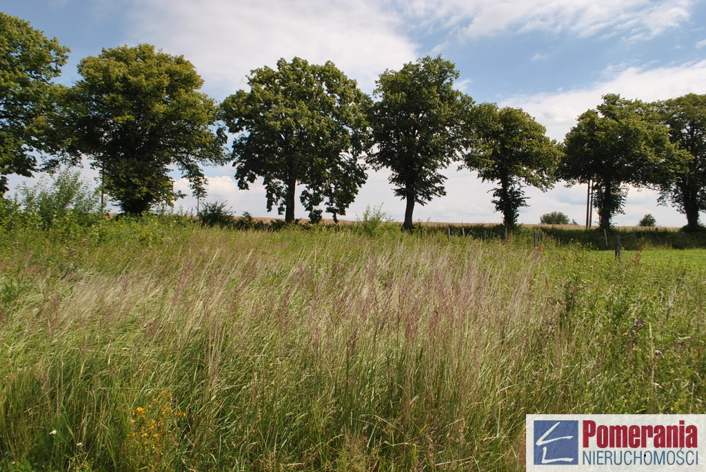 Działka nad morzem !!! (2)