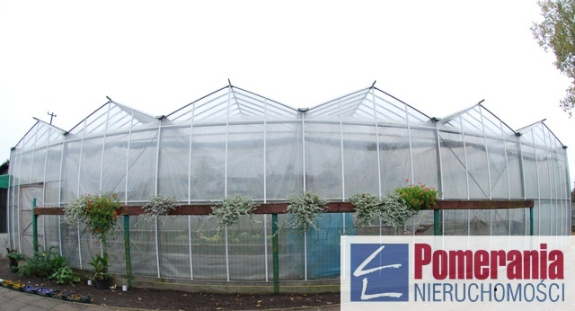 Słupsk, 2ha, 1800.000zł (2)