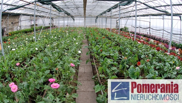 Słupsk, 2ha, 1800.000zł (3)