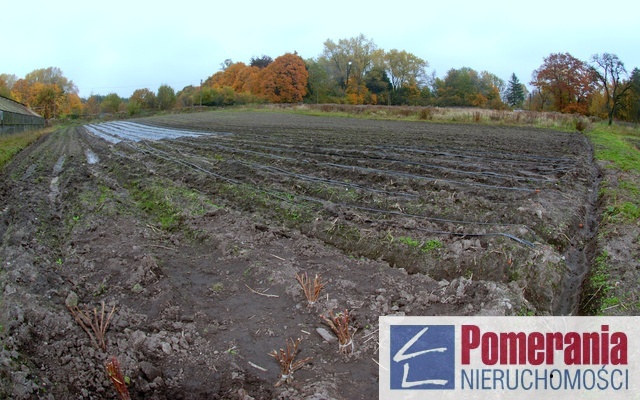 Słupsk, 2ha, 1800.000zł (4)