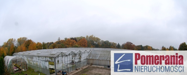 Słupsk, 2ha, 1800.000zł (1)