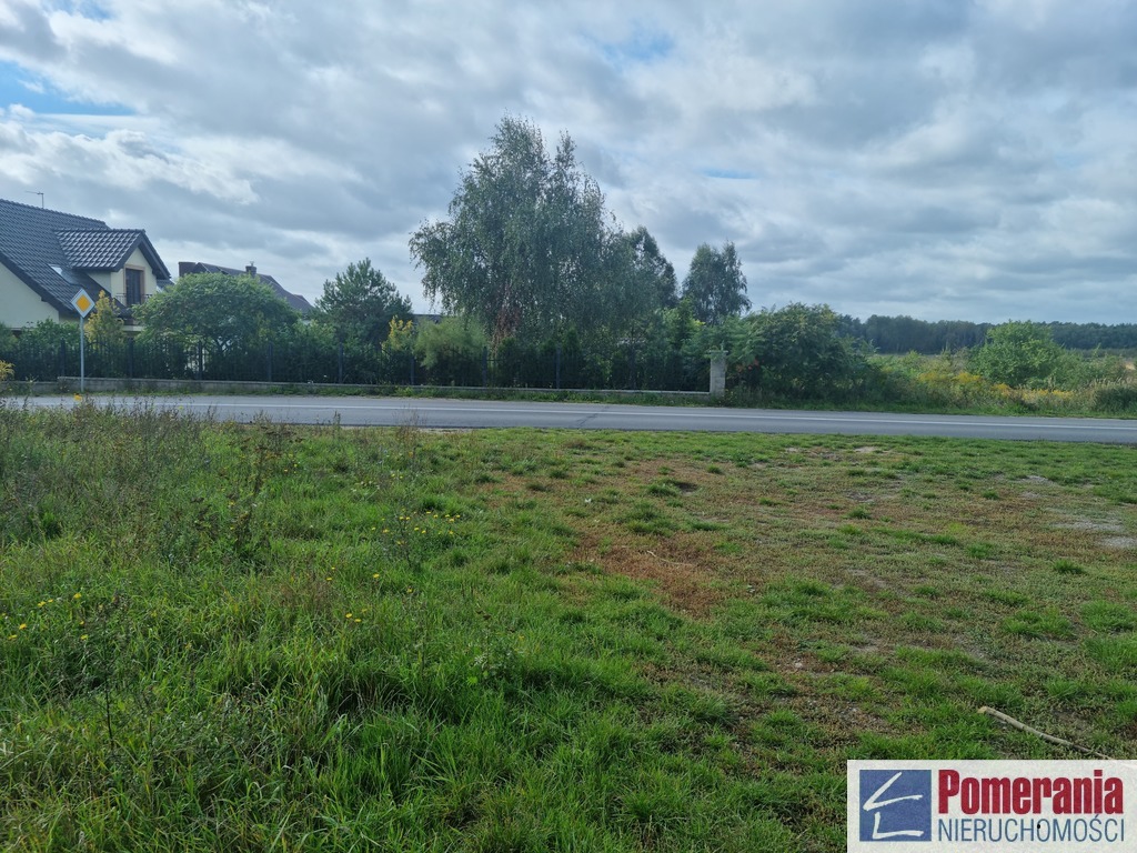 Działka Dobra Szczecińska 1ha !!! (2)