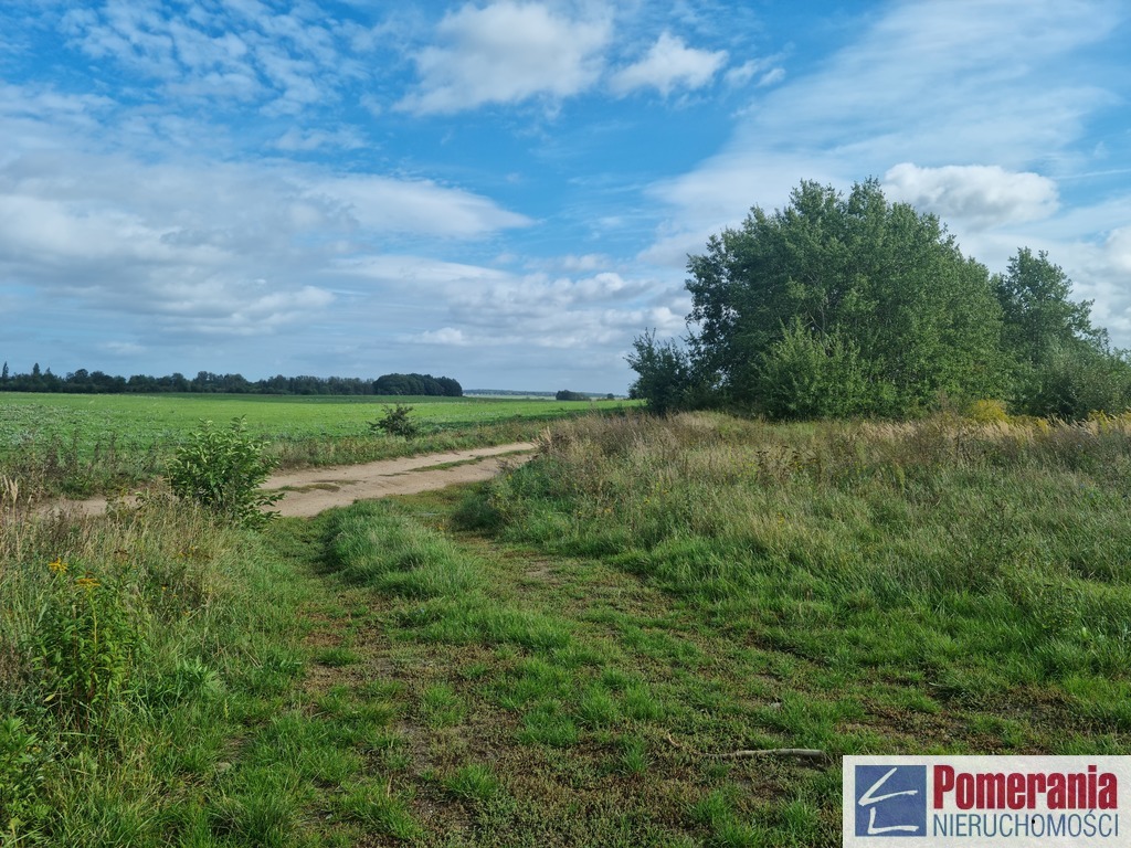 Działka Dobra Szczecińska 1ha !!! (5)