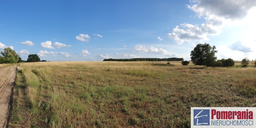 Działka inwestycyjna Wąwelnica 3,73 ha !!! (3)