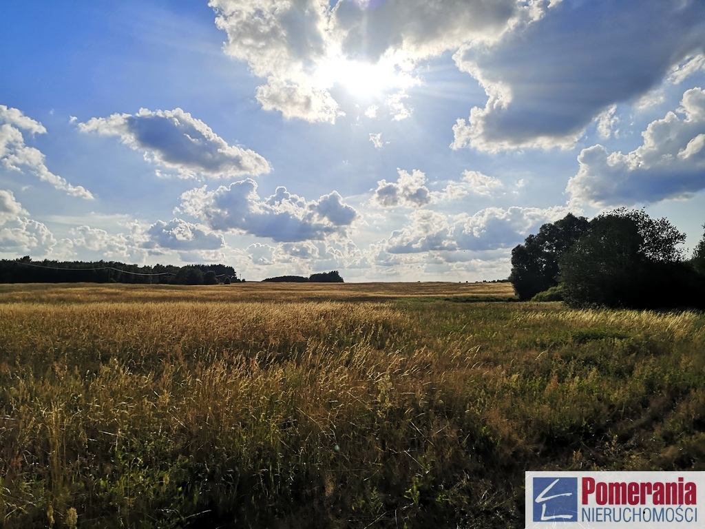 Działka inwestycyjna Wąwelnica 3,73 ha !!! (1)