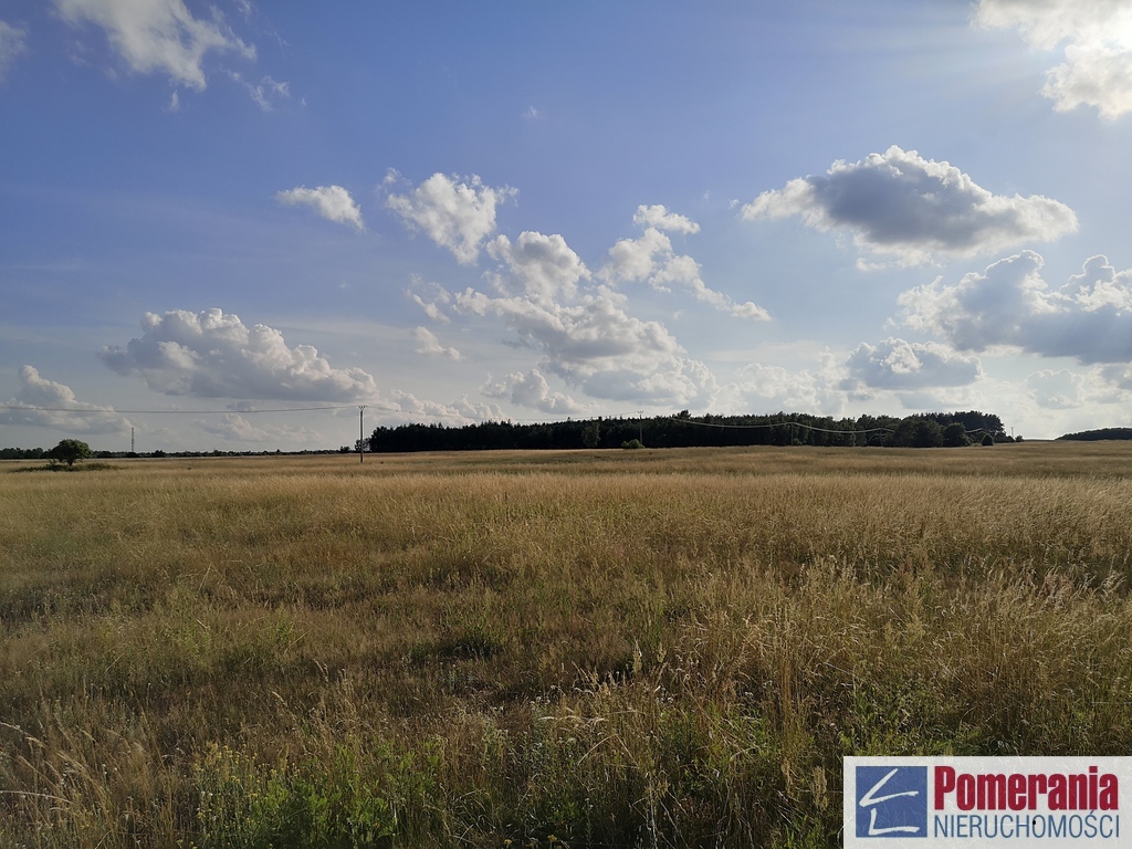 Działka inwestycyjna Wąwelnica 3,73 ha !!! (4)