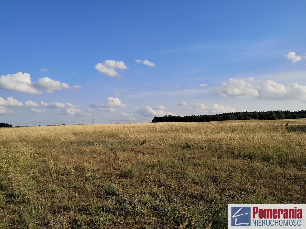 Działka inwestycyjna Wąwelnica 3,73 ha !!! (6)