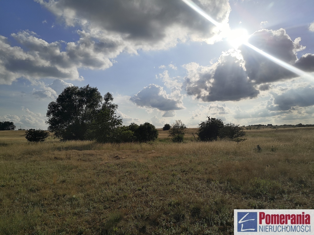 Działka inwestycyjna Wąwelnica 3,73 ha !!! (2)