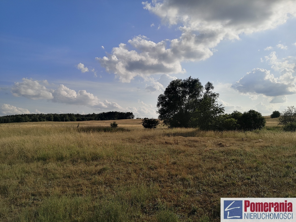 Działka inwestycyjna Wąwelnica 3,73 ha !!! (7)