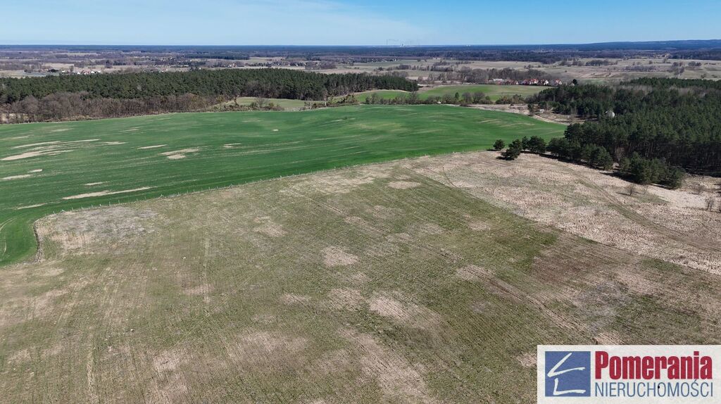 Działka Buk !!! 13579 m2 !!! (13)