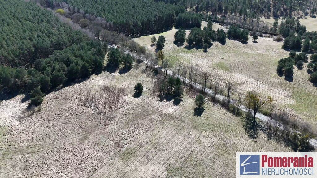 Działka Buk !!! 13579 m2 !!! (12)