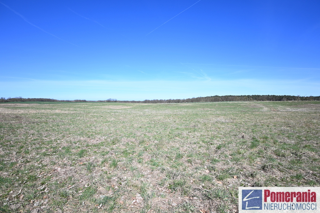 Działka Buk !!! 13579 m2 !!! (2)