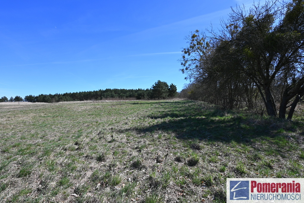 Działka Buk !!! 13579 m2 !!! (3)